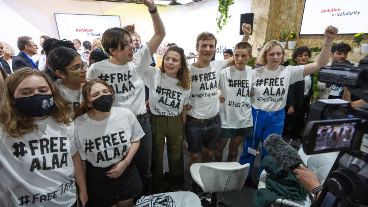 #FreeAlaa. (Sharm el-Sheik, 9.11.2022)