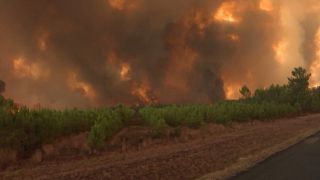 Changement climatique : la Terre se rapproche de points de bascule dangereux et irréversibles