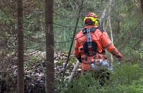 Finnischer Waldarbeiter im Gehölz