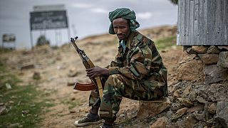 Tigray rebels deny 70% take over by Ethiopian government