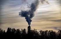 Smoke billows above trees out of the chimney of a factory in Sundom, On March 9, 2022.