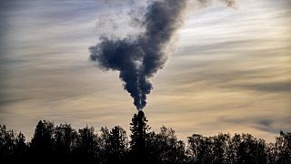 Smoke billows above trees out of the chimney of a factory in Sundom, On March 9, 2022.