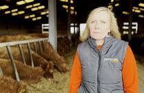 Liz Webster, presidenta de la organización 'Salvemos los Alimentos Británicos'.