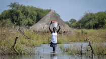 امرأة تحمل دلواً على رأسها في جنوب السودان (أرشيف) 