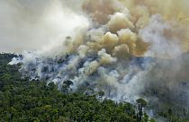 Un incendio en una zona del Amazonas de Brasil. 