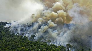 Un incendio en una zona del Amazonas de Brasil.