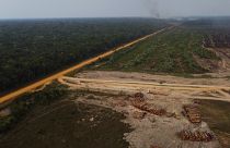 Tűzben álló erdőterület egy fakitermelő terület közelében  Amazonas államban, Brazíliában, 2022. szeptember 17-én
