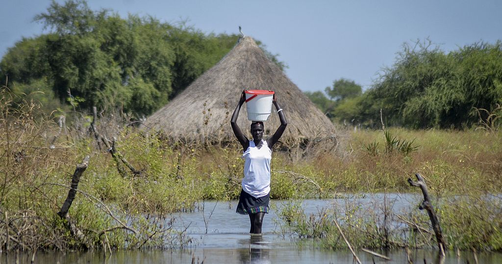 The perils of starvation and flooding in South Sudan - Vimarsana News