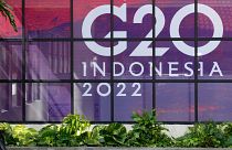 Bu yılki G-20 Zirvesi, Endonezya'nın Bali Adası'nda gerçekleşecek