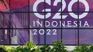 Bu yılki G-20 Zirvesi, Endonezya'nın Bali Adası'nda gerçekleşecek