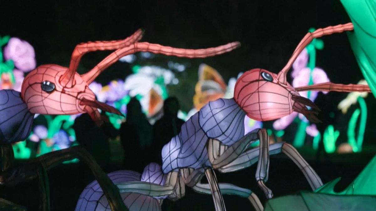 Les insectes à l'honneur dans le Jardin des Plantes à Paris