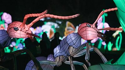 Les insectes à l'honneur dans le Jardin des Plantes à Paris