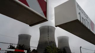 Почти половина реакторов на французских АЭС остановлены на техобслуживание