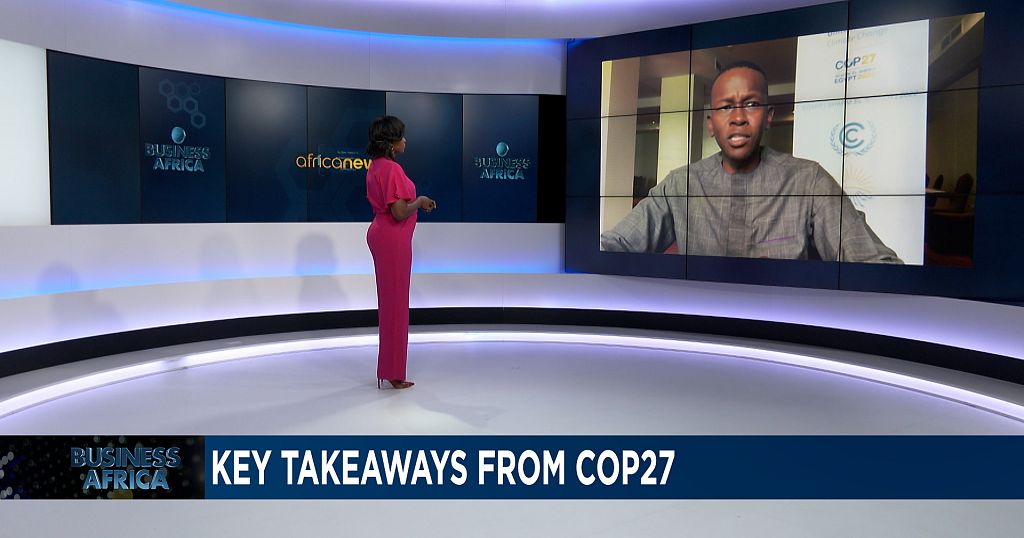 Adaptation gaps – Solutions derived from COP 27 {Business Africa}