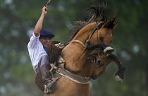 Un gaucho durante una exhibición con su caballo en San Antonio de Areco