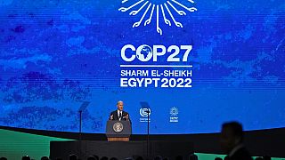 Egypt rejects allegations of surveillance at COP27