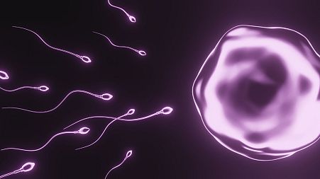 Researchers say global sperm counts have dropped by a “staggering” 50 per cent over the past five decades - and the decline is gaining pace.