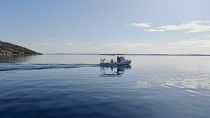 Οι «φύλακες» της θάλασσας: Πώς οι ψαράδες μπορούν να κερδίσουν περισσότερα, ψαρεύοντας λιγότερο