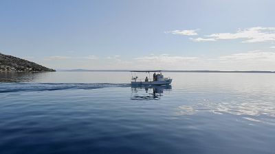 Hogyan halászhatnak kevesebbet és környezetbarátabban Európa halászai?