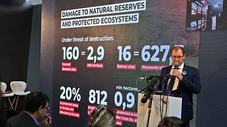 Ruslan Strilets, Ukraine's Minister of Environmental Protection and Natural Resources, gives a press conference at COP27.