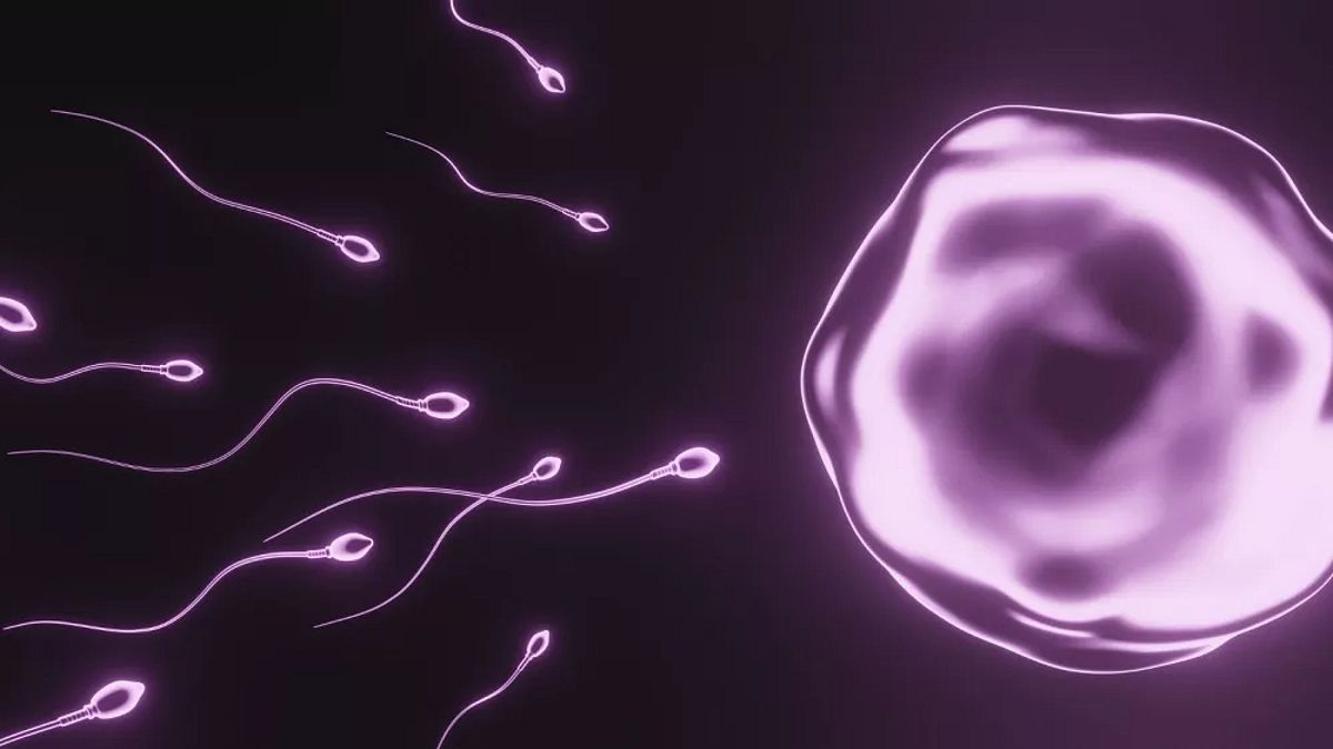 1973 le 2018 yılları arasındaki verilerin incelendiği çalışmaya göre sperm sayıları her yıl ortalama yüzde 1,2 oranında geriledi