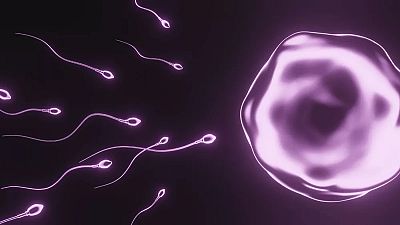 1973 le 2018 yılları arasındaki verilerin incelendiği çalışmaya göre sperm sayıları her yıl ortalama yüzde 1,2 oranında geriledi