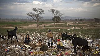 Pakistan'da atık gıdaların buunduğu çöp sahasında yiyecek bir şeyler toplamaya çalışan Afgan mülteci çocuklar
