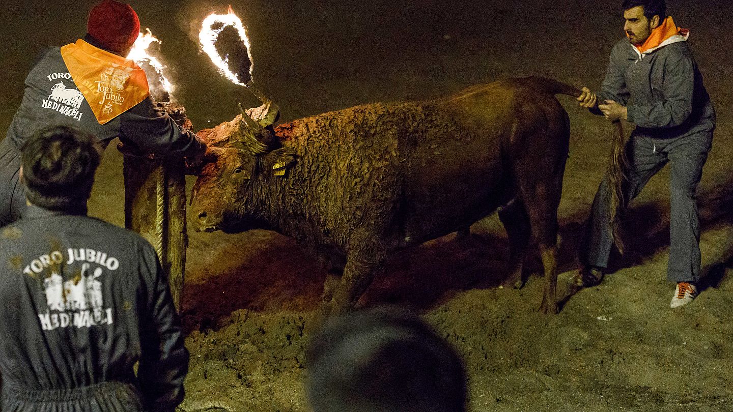 İspanya'da hayvan severleri kızdıran boğa festivalinin yasaklanması için  dava açıldı