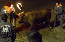 İspanya'daki boğa festivali