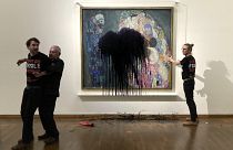 Climate activists have attacked a famous painting by artist Gustav Klimt in Vienna