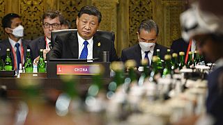 Председатель КНР - главный союзник России и главное препятствие к принятию резкой декларации, 15 ноября 2022 г.