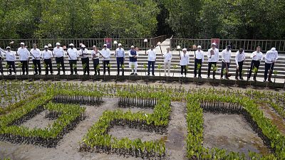 US President Joe Biden and other world leaders attended a mangrove tree planting event while in Bali, Indonesia, for the G20 Summit on Wednesday. 