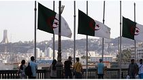 العلم الجزائري يرفرف في شوارع العاصمة