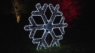 In London hat "Kew Botanicals Garden" die Weihnachtsbeleuchtung eingeschaltet