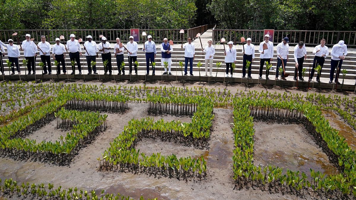 G20 Leaders raise their garden hoes for a group photo during a tree planting event at the Taman Hutan Raya Ngurah Rai Mangrove Forest