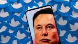 There has been a ‘surge in trolls’ and abuse levelled at activists since Elon Musk bought Twitter.