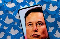There has been a ‘surge in trolls’ and abuse levelled at activists since Elon Musk bought Twitter.
