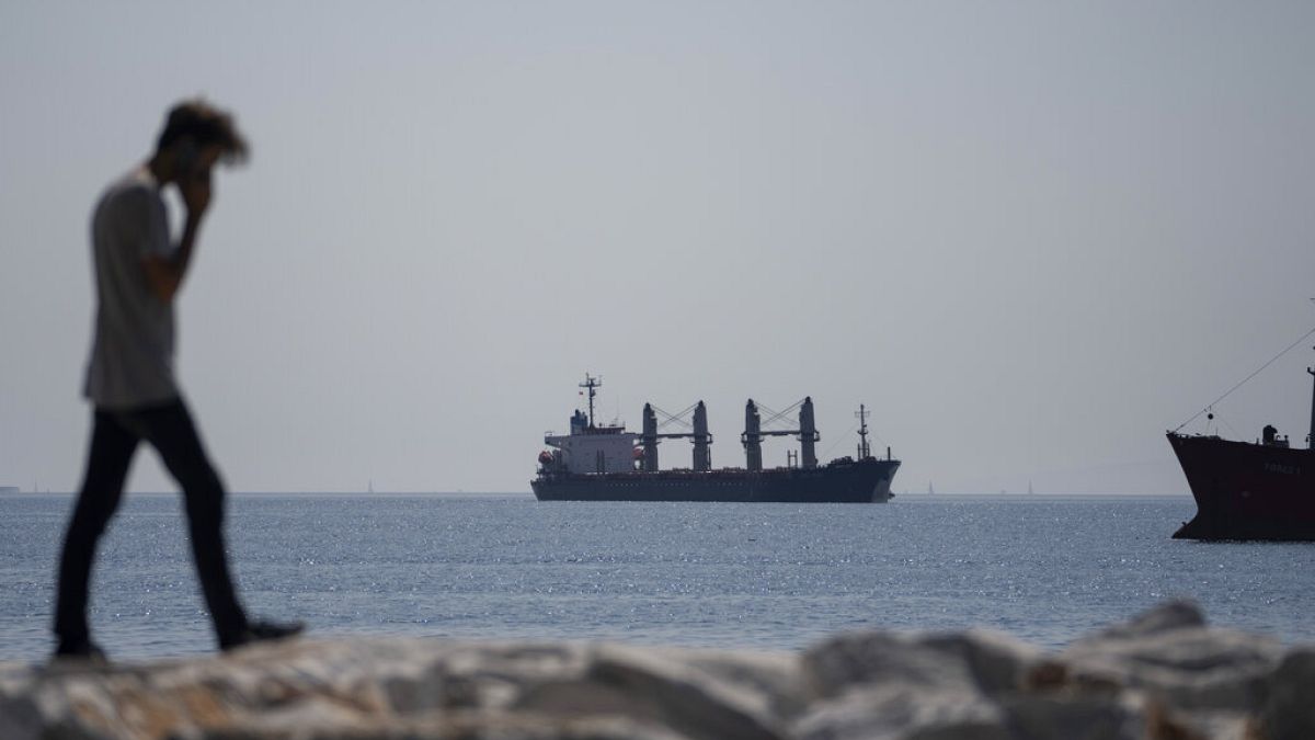 Πλοίο με σιτηρά από ουκρανικά λιμάνια ανοιχτά της Κωνσταντινούπολης
