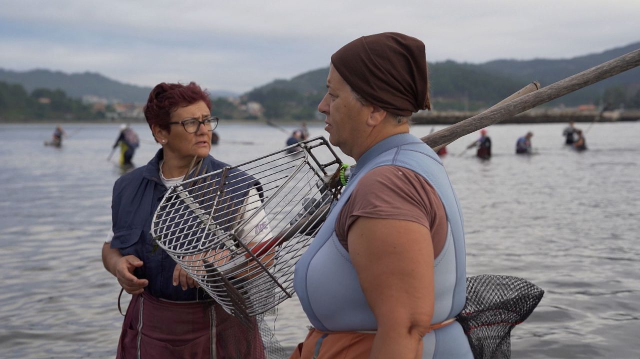 Explainer: Are we witnessing the last generation of artisanal fishers?