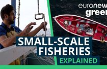 Defining the small-scale fisheries sector is more complicated than it seems.