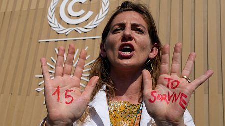A demonstrator shows her hands reading "1.5 to survive" at a protest at COP27.