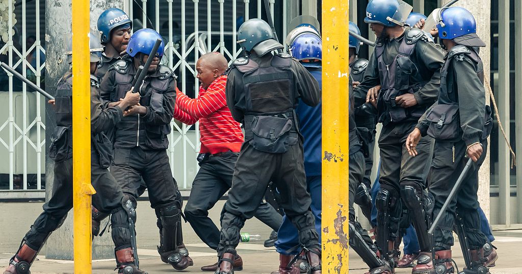 Zimbabwe Frees 14 Opposition Activists Jailed For Months | Africanews