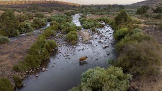 مشهد لنهر الأردن بالقرب من كيبوتس كركوم في شمال إسرائيل التي وقعت والأردن اتفاقية لتنظيف نهر الأردن الملوث، 17 نوفمبر 2022.