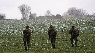 Polish soldiers search for missile wreckage in a field. 