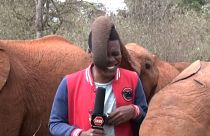 No comment videos of the week