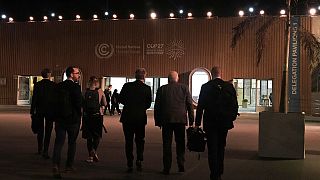 Делегации стран-участниц COP27 продолжат дискуссии в субботу