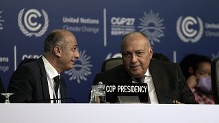 وائل أبو المجد الممثل الخاص لرئاسة مؤتمر الأطراف (يسارا) مع سامح شكري، رئيس قمة المناخ COP27