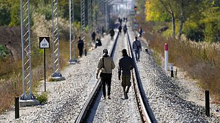 Sırbistan ile Macaristan arasındaki demiryolunda yürüyen göçmenler (arşiv)