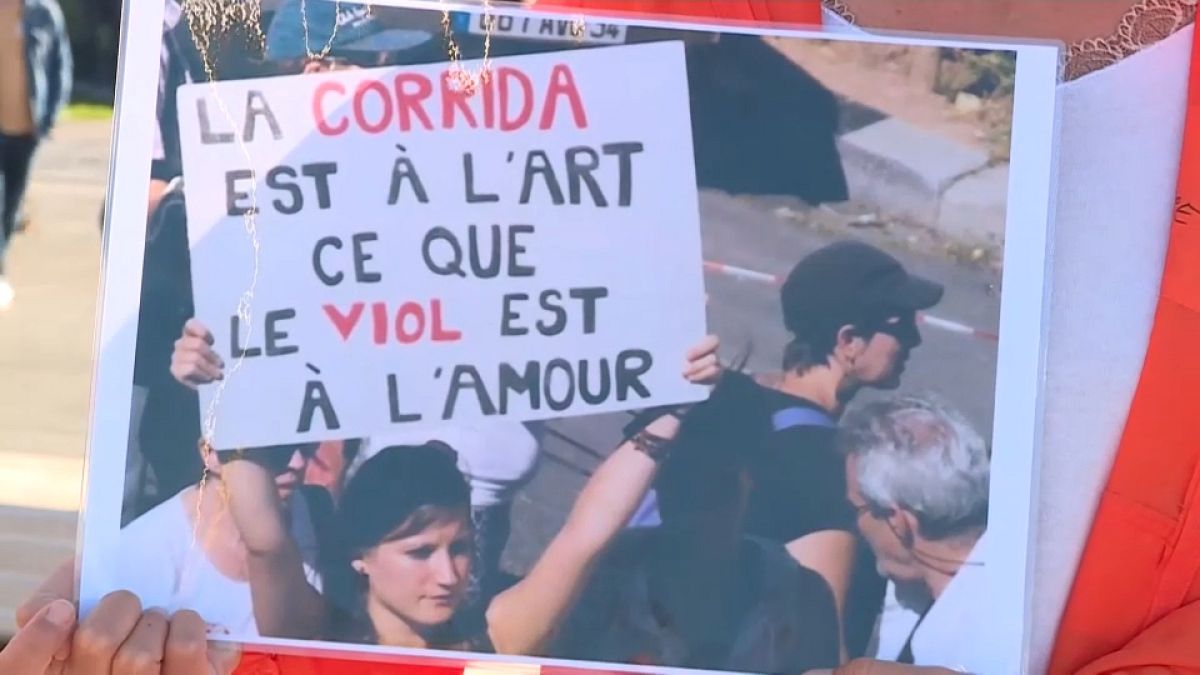 Franciaország több városában tüntettek a bikaviadalok ellen és mellett is
