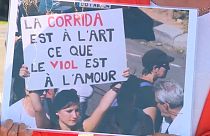 Manifestación de un grupo de activistas antitaurinos este sábado en Francia.